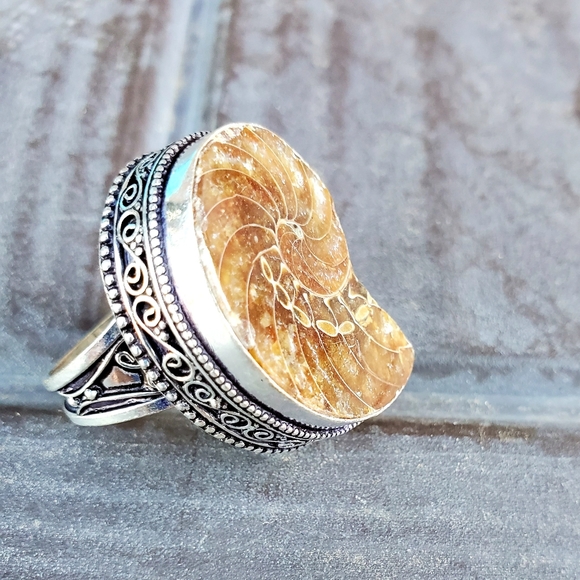 New Fossil Ammonite Silver Statement Ring. - Picture 16 of 16
